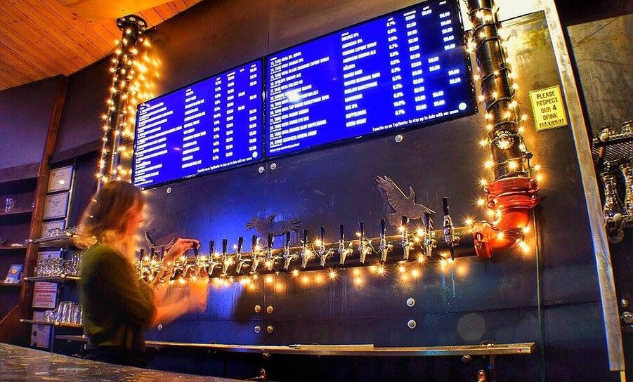 19250382 1331817213532141 8608204078970340185 o copy