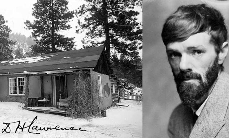 dhlawrence copy 2 768x465