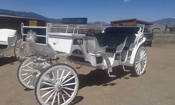 11160575 745546822209361 6181116666635178546 n copy 2