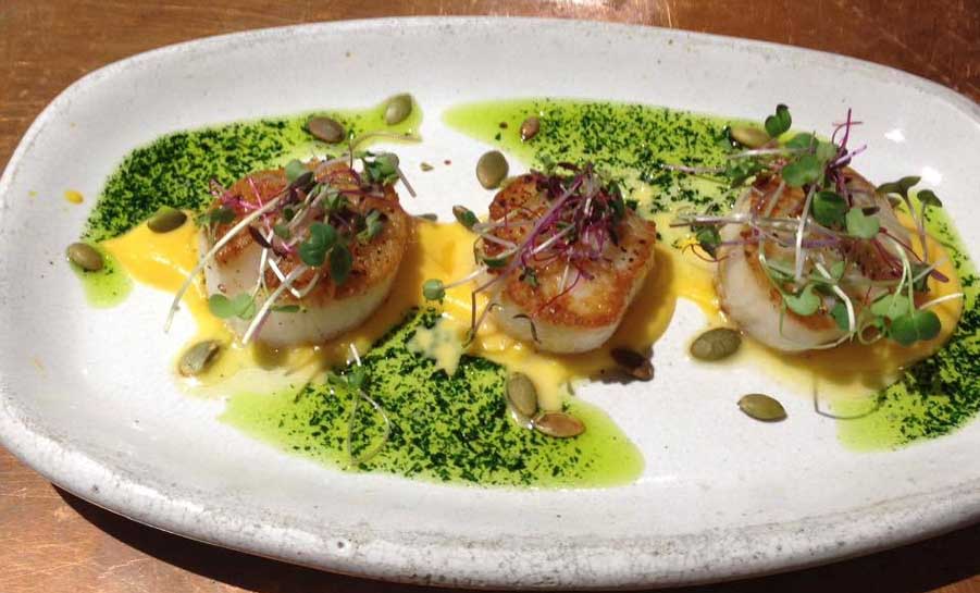 12038540 932129650166039 5537112640419411910 n copy 2