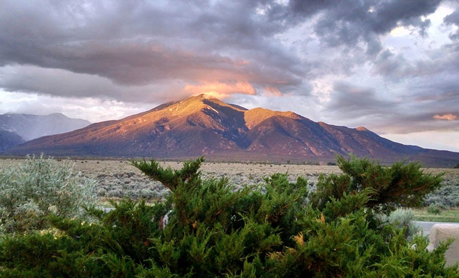 13567330 1752123401732075 575980307248630336 n copy Copy 2