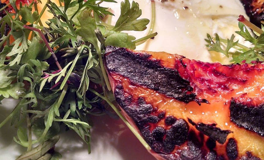 13895223 1763822880562127 1532512485491387041 n copy Copy 2