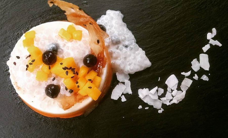 14095804 1777404642537284 6774858868831918946 n copy Copy 2