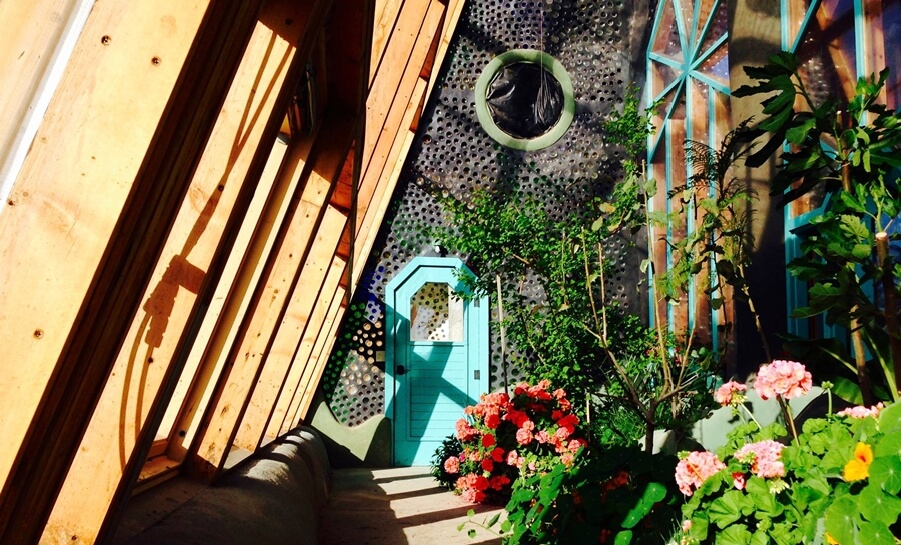 14481909 10154277099799724 5759029514450103627 o copy