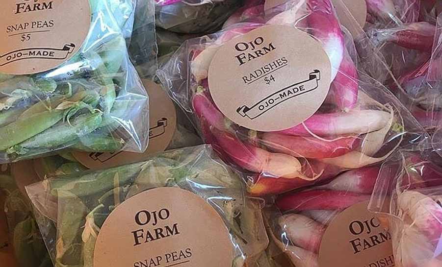 19642806 10155471363802298 285031303234997663 n copy 2