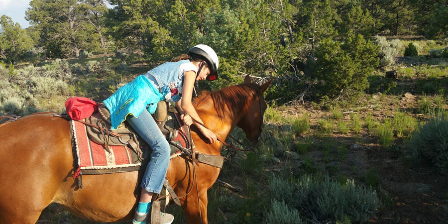 20150622 174102 copy 2 2