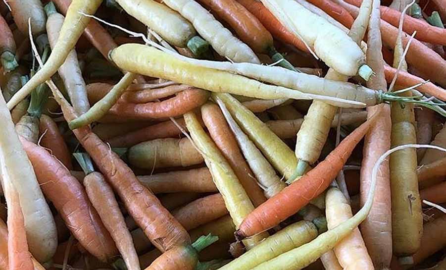 21192864 10155639617417298 1376713818174913082 n copy 2