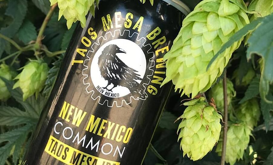 21462874 1402461146467747 499314444718876462 n copy 1