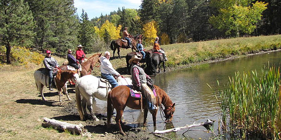 83f943 f7ae1f52c4611b7716e2d639e6d7f7f2 copy 2