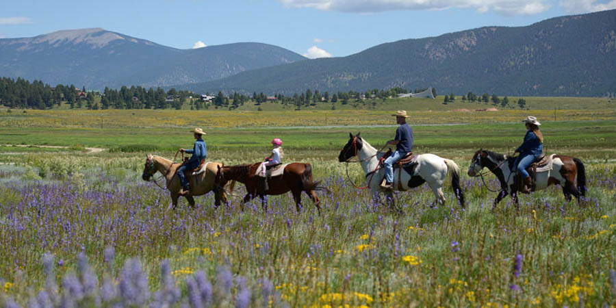 HorseBackRiding 1024x429 copy 2