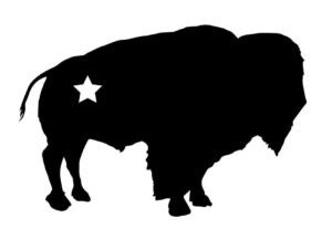 bison star naturals 1 300x207