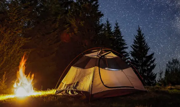 A tent and campfire in the night forest