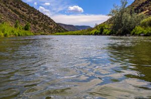 Three Easy Fishing Holes in Taos