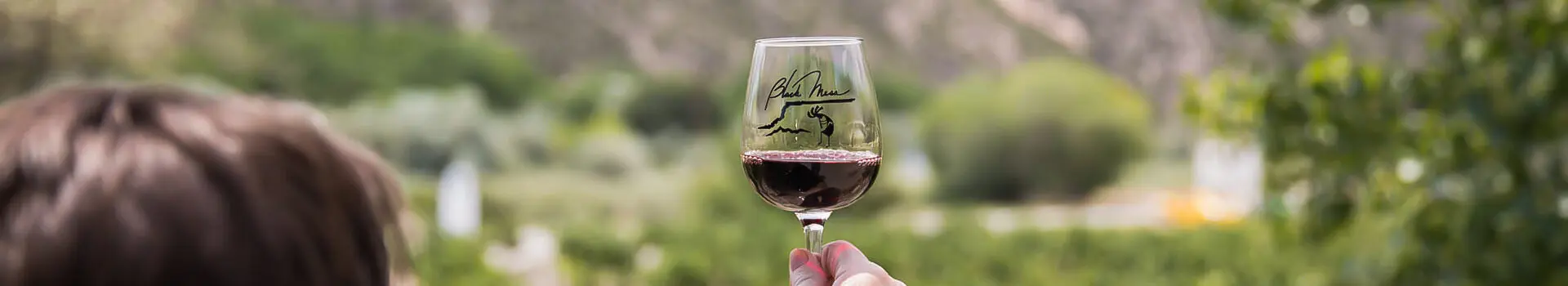 A Glass of wine being held in a vineyard