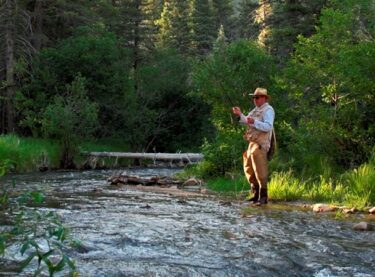A man fly fishing in a small stream in Northern New Mexico