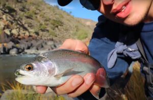 Fly Fishing in the Rio Grande Gorge
