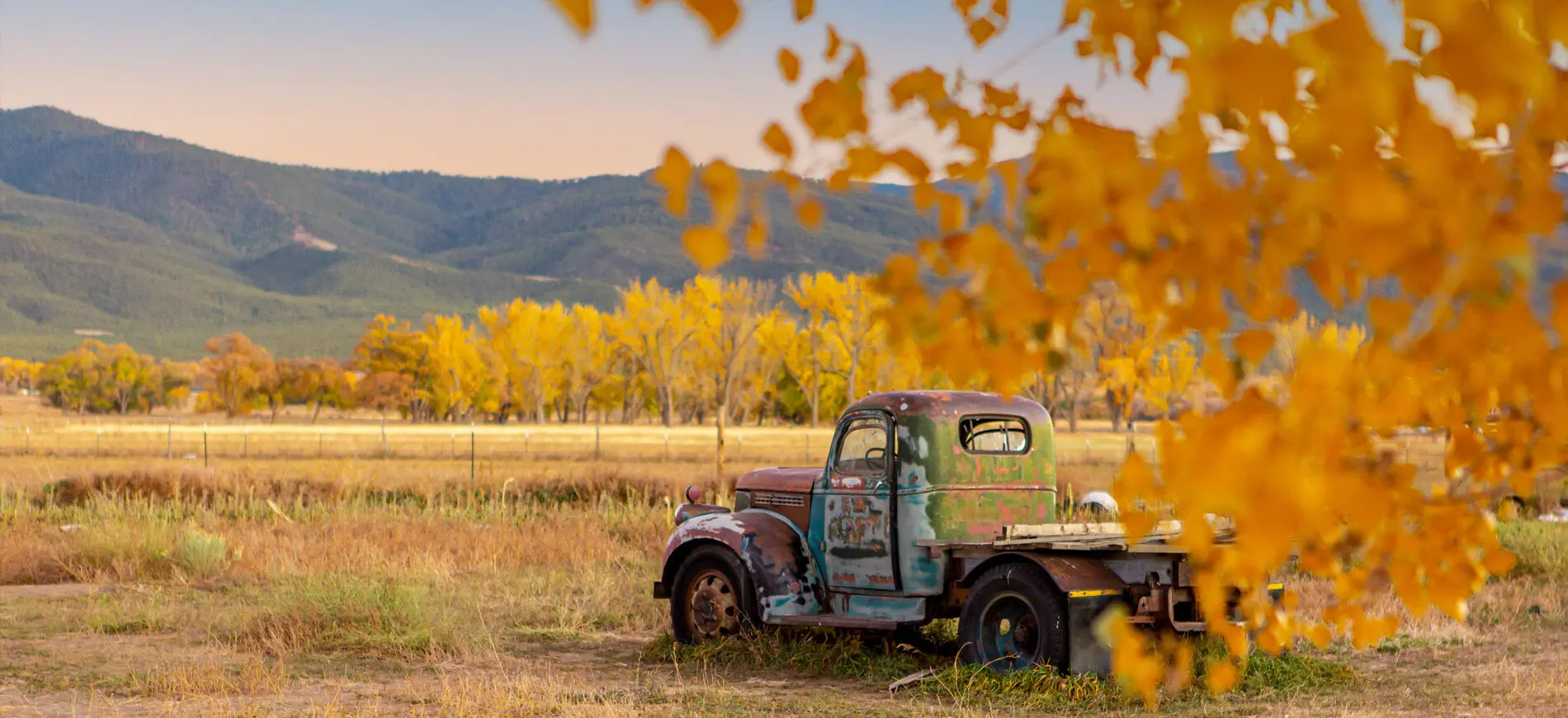 Fall leaves in Taos