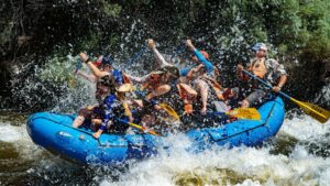 RCSouse1400JH7 Enhanced NR 300x169