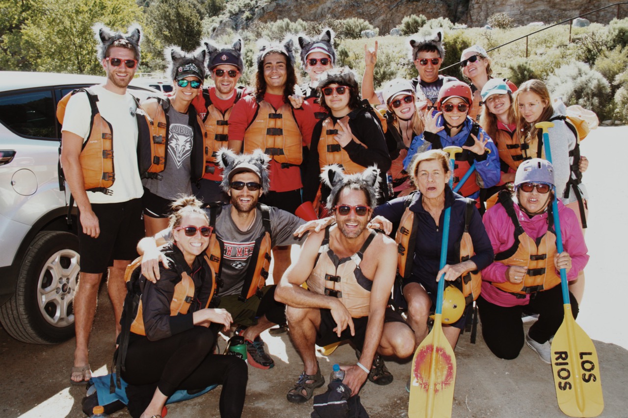 cat ears on shore VSCO Large