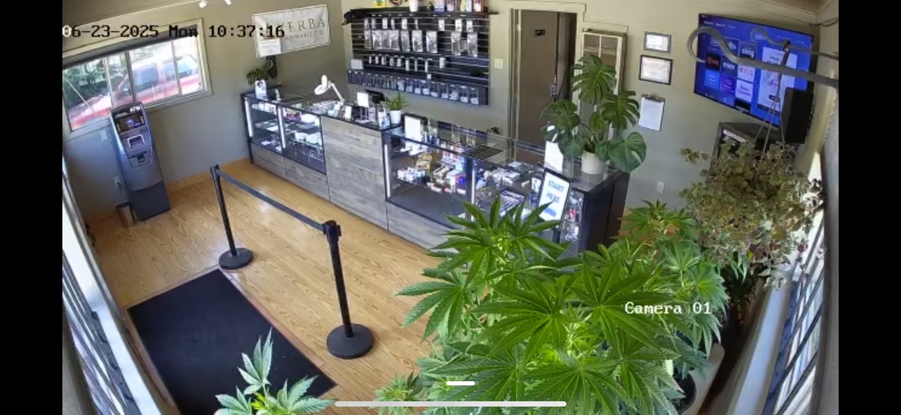 72BE0B66 4190 4017 94CA 38659DD55430 1 105 c