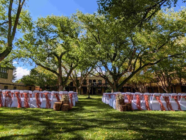 PXL 20251004 2054272223 768x578