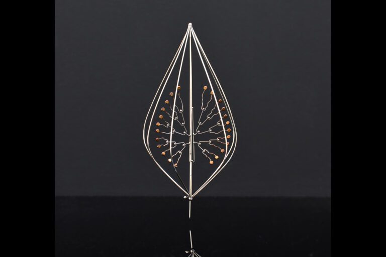 surirella brooch xsmall 768x512