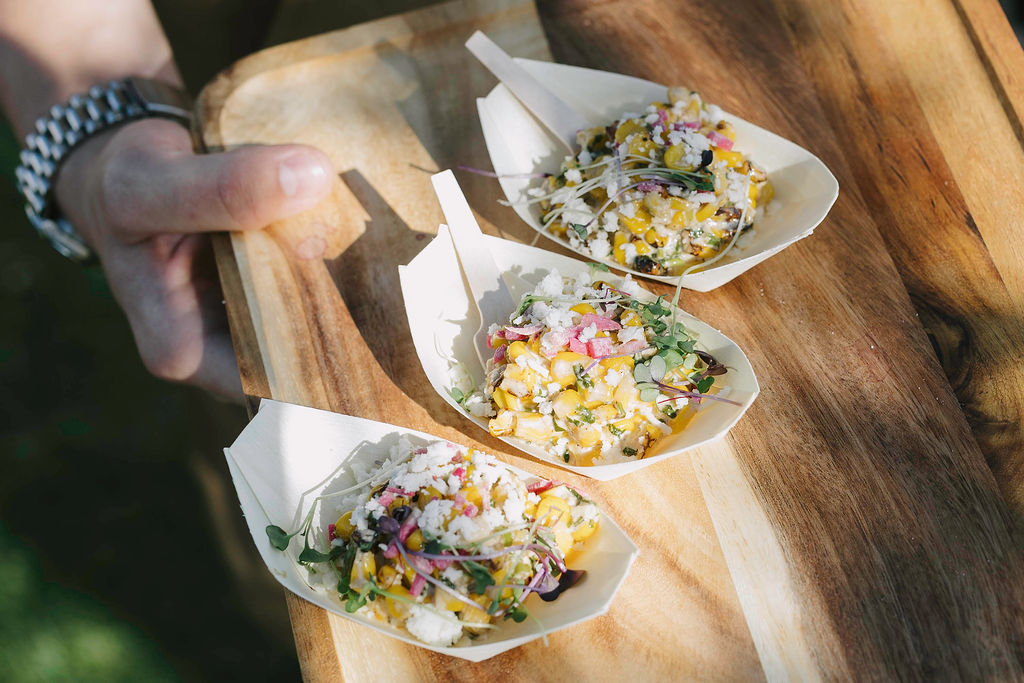 mason hayden final 3309